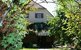 B&B Greiner